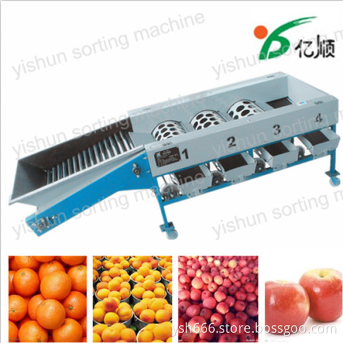 Orange sorting machine factory price
